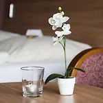 Otel Seehotel Schwanenhof