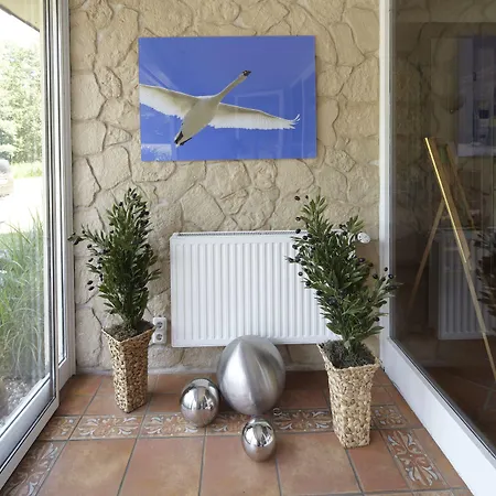 Seehotel Schwanenhof Hotel 4*