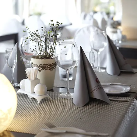 Seehotel Schwanenhof 4*