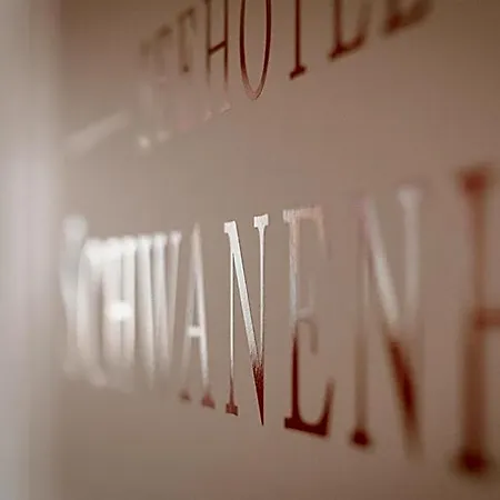 호텔 Seehotel Schwanenhof