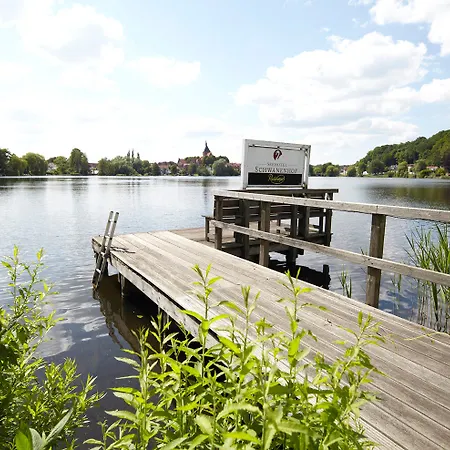 Seehotel Schwanenhof Otel 4*