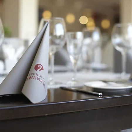 Seehotel Schwanenhof Hotel 4*