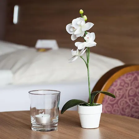 Hotel Seehotel Schwanenhof