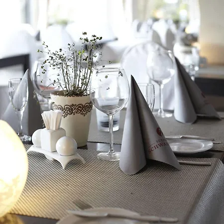 Seehotel Schwanenhof Hotel 4*